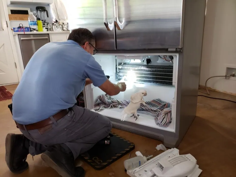 A technician servicing the open compartment of a built-in refrigerator
