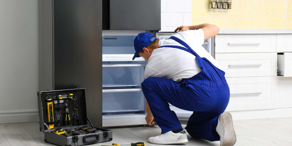 Freezer and Refrigerator Repair Phoenix